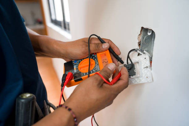 Best Ceiling Fan Installation Electrician  in Lomira, WI